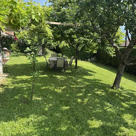 Maison Avec Piscine 7pers * Doussard